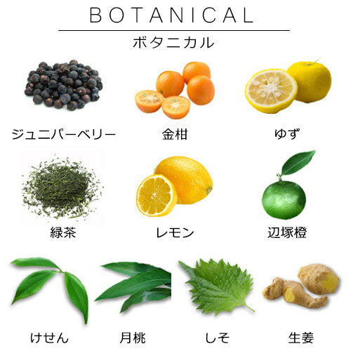 Japanese GIN WABIGIN 和美人(with box)